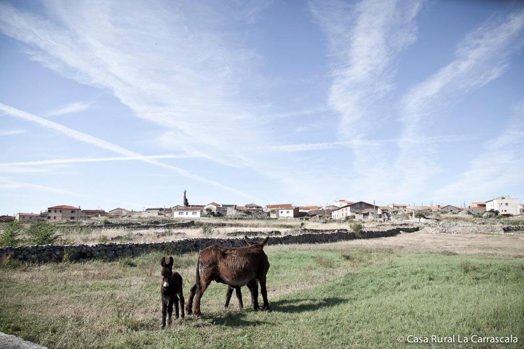 Casa Rural La Carrascala サモラ エクステリア 写真