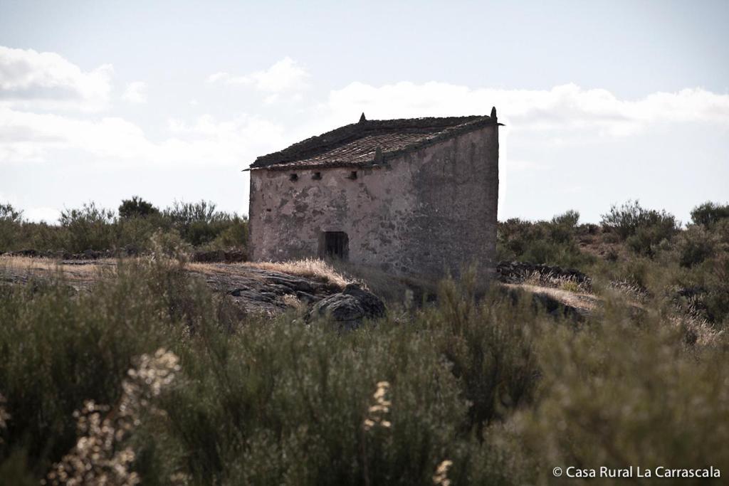 Casa Rural La Carrascala サモラ エクステリア 写真